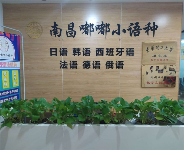 环境展示